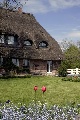 Reiterhof, Ploen, Schleswig-Holstein