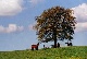 Reiterhof, Ploen, Schleswig-Holstein