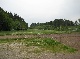 Reitanlage, Rhein-Hunsrueck-Kreis, Rheinland-Pfalz
