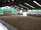 Reitanlage, Rhein-Hunsrueck-Kreis, Rheinland-Pfalz