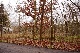 Wald, Havelland, Brandenburg