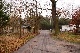 Wald, Havelland, Brandenburg