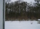 Landhaus, Uckermark, Brandenburg