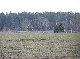 Landhaus, Mueritz, Mecklenburg-Vorpommern