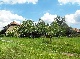 Forsthaus, Kitzingen, Bayern