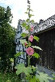 Bauernhaus, Siegen-Wittgenstein, Nordrhein-Westfalen