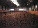 Reitanlage, Leer, Niedersachsen