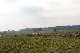 Aussiedlerhof, Mueritz, Mecklenburg-Vorpommern