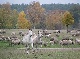 Aussiedlerhof, Mueritz, Mecklenburg-Vorpommern