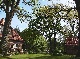 Bauernhof, Gifhorn, Niedersachsen
