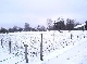 Gr&uuml;nland, Rottweil, Baden-Wuerttemberg