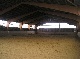 Reitanlage, Uelzen, Niedersachsen