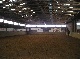 Reitanlage, Uelzen, Niedersachsen