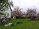 Sonstiges, Tuttlingen, Baden-Wuerttemberg