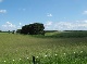 Reitanlage, Biberach, Baden-Wuerttemberg