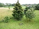 Bauernhof, Fulda, Hessen