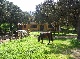 Reiterhof, Italien, Italien
