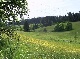 Aussiedlerhof, Schwarzwald-Baar-Kreis, Baden-Wuerttemberg
