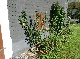 Bauernhaus, Siegen-Wittgenstein, Nordrhein-Westfalen