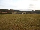 Landhaus, Odenwaldkreis, Hessen