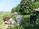 Reitanlage, Saale-Holzland-Kreis, Thueringen