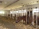 Reitanlage, Saale-Holzland-Kreis, Thueringen
