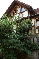 Bauernhaus, Wetteraukreis, Hessen