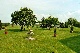 Bauernhof, Riesa-Grossenhain, Sachsen