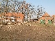Bauernhof, Lueneburg, Niedersachsen