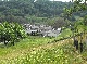 Bauernhof, Hohenlohekreis, Baden-Wuerttemberg