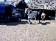 Reitanlage, Diepholz, Niedersachsen