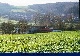 Aussiedlerhof, Werra-Meissner-Kreis, Hessen