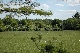 Reitanlage, Pinneberg, Schleswig-Holstein