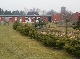 Bauernhof, Nordvorpommern, Mecklenburg-Vorpommern